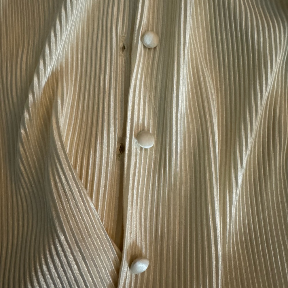 Button Down - image 3